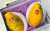 Quả đu đủ nhỏ như hàng thứ phẩm nhưng giá chát 1 triệu đồng/kg Quả đu đủ nhỏ như hàng thứ phẩm nhưng giá chát 1 triệu đồng/kg