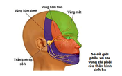Bác sĩ hướng dẫn xử trí khi bị đau giật mặt Bác sĩ hướng dẫn xử trí khi bị đau giật mặt