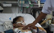 Trẻ bị chó cắn mất tai, mất mũi, bố mẹ không biết tái tạo ở đâu Trẻ bị chó cắn mất tai, mất mũi, bố mẹ không biết tái tạo ở đâu