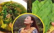 Lê Thúy về quê khoe đặc sản quê nhà, Lan Khuê trố mắt vì "Canh lạ quá" Lê Thúy về quê khoe đặc sản quê nhà, Lan Khuê trố mắt vì "Canh lạ quá"