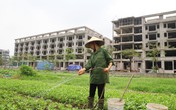 Dự án Trường Mùa Xuân ở Long Biên bị người dân phản đối, chủ đầu tư nói gì? Dự án Trường Mùa Xuân ở Long Biên bị người dân phản đối, chủ đầu tư nói gì?