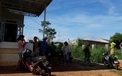 Dân khổ vì sống cạnh khu chăn nuôi Dân khổ vì sống cạnh khu chăn nuôi