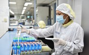 Cô Gái Hà Lan mở lối đổi mới sáng tạo cho tỷ ly sữa như một trên toàn cầu Cô Gái Hà Lan mở lối đổi mới sáng tạo cho tỷ ly sữa như một trên toàn cầu