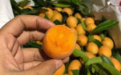 Kỳ lạ loại quả ăn vặt giá “chát”, chưa kịp về đã hết hàng Kỳ lạ loại quả ăn vặt giá “chát”, chưa kịp về đã hết hàng