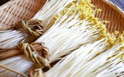 Vì sao giá đỗ khổng lồ Nhật Bản dài 40 cm có giá đắt đỏ? Vì sao giá đỗ khổng lồ Nhật Bản dài 40 cm có giá đắt đỏ?