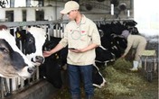 Tất tần tật về DHA chuẩn Hà Lan trong Sữa bột Dutch Lady mẹ nên biết Tất tần tật về DHA chuẩn Hà Lan trong Sữa bột Dutch Lady mẹ nên biết