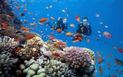 Nghỉ lễ 30/4- 1/5: tận hưởng bữa tiệc mùa hè ngoạn mục tại Sun World Hon Thom Nature Park Nghỉ lễ 30/4- 1/5: tận hưởng bữa tiệc mùa hè ngoạn mục tại Sun World Hon Thom Nature Park