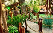 Ông chồng chi cả đống tiền để biến vườn nhà thành thiên đường nhiệt đới cho người vợ không thể đi du lịch Ông chồng chi cả đống tiền để biến vườn nhà thành thiên đường nhiệt đới cho người vợ không thể đi du lịch