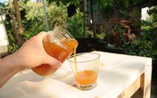 Từ vụ bé 6 tháng tuổi mất mạng vì mật ong, chuyên gia cảnh báo không dùng tùy tiện Từ vụ bé 6 tháng tuổi mất mạng vì mật ong, chuyên gia cảnh báo không dùng tùy tiện