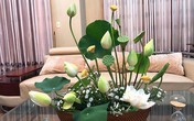 Thả 2 viên aspirin vào bình hoa sen, chơi cả tuần không hỏng Thả 2 viên aspirin vào bình hoa sen, chơi cả tuần không hỏng