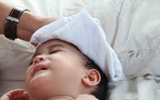 Trẻ đang chơi bỗng sốt cao bất ngờ thế này cần đưa đi viện ngay kẻo hối không kịp Trẻ đang chơi bỗng sốt cao bất ngờ thế này cần đưa đi viện ngay kẻo hối không kịp