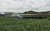 Huyện Thường Xuân (Thanh Hóa): Xưởng than hành dân Huyện Thường Xuân (Thanh Hóa): Xưởng than hành dân