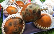 Chanh leo mốc meo giá gần triệu bạc/kg “cháy hàng” trong ngày hè nắng nóng Chanh leo mốc meo giá gần triệu bạc/kg “cháy hàng” trong ngày hè nắng nóng