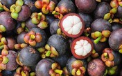 Rau quả Thái nhập vào Việt Nam tăng vọt, đánh bay hàng Trung Quốc Rau quả Thái nhập vào Việt Nam tăng vọt, đánh bay hàng Trung Quốc