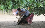 Từ phận phu vàng ngập ngụa thuốc phiện đến nông dân giàu có Từ phận phu vàng ngập ngụa thuốc phiện đến nông dân giàu có