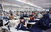 Con số ấn tượng về lượng người lao động được giải quyết việc làm trong 6 tháng đầu năm 2019 Con số ấn tượng về lượng người lao động được giải quyết việc làm trong 6 tháng đầu năm 2019