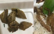 Đặt cơm qua mạng, nhận suất ăn với 5 miếng xương gà và lời giải thích 'khó đỡ' của chủ quán Đặt cơm qua mạng, nhận suất ăn với 5 miếng xương gà và lời giải thích 'khó đỡ' của chủ quán