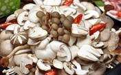 Nấm tươi đón tháng cô hồn tràn ngập thị trường và đắt khách Nấm tươi đón tháng cô hồn tràn ngập thị trường và đắt khách