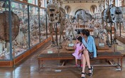 Con gái Hà Tăng lộ mặt bầu bĩnh, đáng yêu khi chụp hình cùng mẹ Con gái Hà Tăng lộ mặt bầu bĩnh, đáng yêu khi chụp hình cùng mẹ
