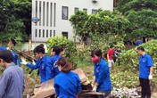 Hà Nội: Gia tăng số bệnh nhân mắc sốt xuất huyết Hà Nội: Gia tăng số bệnh nhân mắc sốt xuất huyết