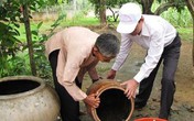 Sốt xuất huyết bùng phát, số bệnh nhân nhập viện gia tăng Sốt xuất huyết bùng phát, số bệnh nhân nhập viện gia tăng