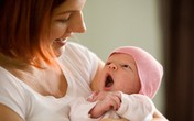 Tự thoát khổ với mâm cơm cữ đạm bạc của mẹ chồng Tự thoát khổ với mâm cơm cữ đạm bạc của mẹ chồng