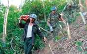 Vụ cháy lớn ở Hà Tĩnh: Những người dân xả thân cứu rừng Vụ cháy lớn ở Hà Tĩnh: Những người dân xả thân cứu rừng