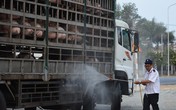 Sự vô trách nhiệm trước dịch bệnh Sự vô trách nhiệm trước dịch bệnh