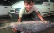Bắt được cá trắm “khủng” dài 1,5m ở hồ Thác Bà Bắt được cá trắm “khủng” dài 1,5m ở hồ Thác Bà