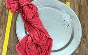 Tai họa khi dạy sai Tai họa khi dạy sai