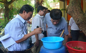 Nhận diện loại muỗi truyền bệnh sốt xuất huyết Nhận diện loại muỗi truyền bệnh sốt xuất huyết