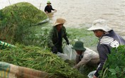 Đắk Lắk: Nước mắt người dân trong mùa lũ Đắk Lắk: Nước mắt người dân trong mùa lũ