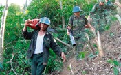 Tặng bằng khen cho người hùng chống "giặc lửa" ở Hà Tĩnh Tặng bằng khen cho người hùng chống "giặc lửa" ở Hà Tĩnh