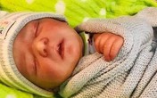 Dùng búp bê hệt như thật để thực hiện kế hoạch lừa đảo tinh vi chưa từng thấy, cặp vợ chồng bị cảnh sát tóm gọn vì sơ hở không ngờ Dùng búp bê hệt như thật để thực hiện kế hoạch lừa đảo tinh vi chưa từng thấy, cặp vợ chồng bị cảnh sát tóm gọn vì sơ hở không ngờ
