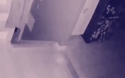 Chủ nhà phát hiện 'hồn ma' của em bé và thú cưng qua camera Chủ nhà phát hiện 'hồn ma' của em bé và thú cưng qua camera