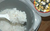 Rất nhiều người không biết những điều này khi nấu cơm, ăn cơm nguội Rất nhiều người không biết những điều này khi nấu cơm, ăn cơm nguội