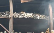 Bất ngờ với thông tin kết quả xét nghiệm nhiễm độc thuỷ ngân của 12 người ở Bệnh viện Bạch Mai Bất ngờ với thông tin kết quả xét nghiệm nhiễm độc thuỷ ngân của 12 người ở Bệnh viện Bạch Mai