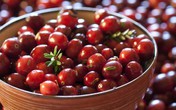 8 liệu pháp trị viêm bàng quang hiệu quả từ thiên nhiên 8 liệu pháp trị viêm bàng quang hiệu quả từ thiên nhiên