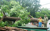 Bão số 4 đổ bộ miền Trung, gây mưa lớn nhiều nơi Bão số 4 đổ bộ miền Trung, gây mưa lớn nhiều nơi