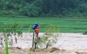 Tặng bằng khen cho người hùng cứu người trong cơn lũ Tặng bằng khen cho người hùng cứu người trong cơn lũ