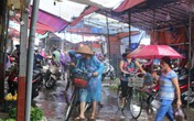 Lý do khiến giá rau xanh Hà Nội tăng bất thường Lý do khiến giá rau xanh Hà Nội tăng bất thường