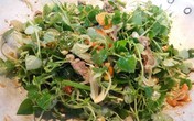 Có loại rau đắt hơn thịt, châu Âu, Trung Quốc tôn "thảo dược quý" chữa bệnh cực tốt, người Việt chỉ coi là cỏ dại Có loại rau đắt hơn thịt, châu Âu, Trung Quốc tôn "thảo dược quý" chữa bệnh cực tốt, người Việt chỉ coi là cỏ dại