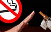 Hải Phòng nỗ lực xây dựng thành phố không khói thuốc Hải Phòng nỗ lực xây dựng thành phố không khói thuốc