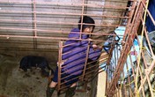 Cận cảnh căn hầm 'bí mật' trong đường dây trộm hơn 100 tấn chó chấn động xứ Thanh Cận cảnh căn hầm 'bí mật' trong đường dây trộm hơn 100 tấn chó chấn động xứ Thanh