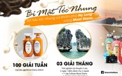 Bí mật tóc nhung - Chuyến du lịch Hạ Long trên du thuyền 5 sao đã tìm được chủ nhân Bí mật tóc nhung - Chuyến du lịch Hạ Long trên du thuyền 5 sao đã tìm được chủ nhân