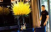 Hết gây choáng váng bằng căn hộ 10 tỷ "ông bầu" Vũ Khắc Tiệp lại tiếp tục khiến fan sốc với biệt thự triệu đô ở khu nhà giàu Hết gây choáng váng bằng căn hộ 10 tỷ "ông bầu" Vũ Khắc Tiệp lại tiếp tục khiến fan sốc với biệt thự triệu đô ở khu nhà giàu