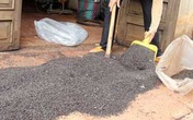 Loại côn trùng lạ tấn công nhà dân ở Phú Yên "phiền phức" ra sao? Loại côn trùng lạ tấn công nhà dân ở Phú Yên "phiền phức" ra sao?
