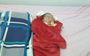 Bé gái bị bỏ rơi ở hoa viên đã được bàn giao cho mẹ đẻ Bé gái bị bỏ rơi ở hoa viên đã được bàn giao cho mẹ đẻ