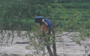 Chàng trai cứu người trong lũ dữ rồi tự cứu mình khi kẹt ở ngọn cây Chàng trai cứu người trong lũ dữ rồi tự cứu mình khi kẹt ở ngọn cây