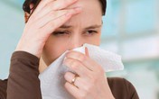 Cách đơn giản trị viêm mũi dị ứng Cách đơn giản trị viêm mũi dị ứng